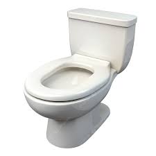 Toilet Bowl